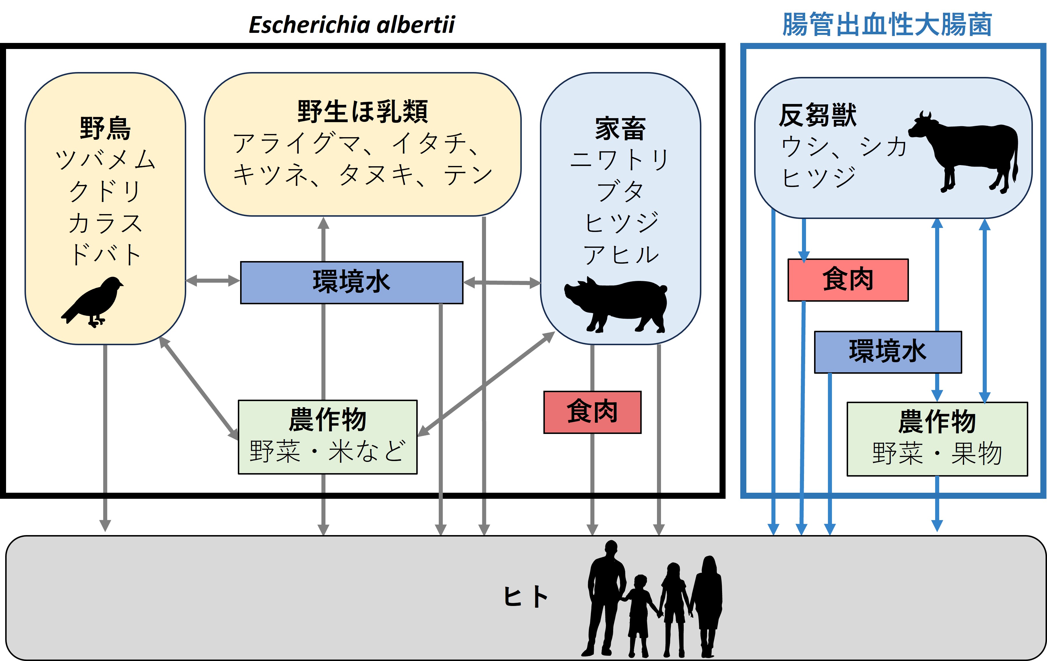 pr202512_yamasaki01a