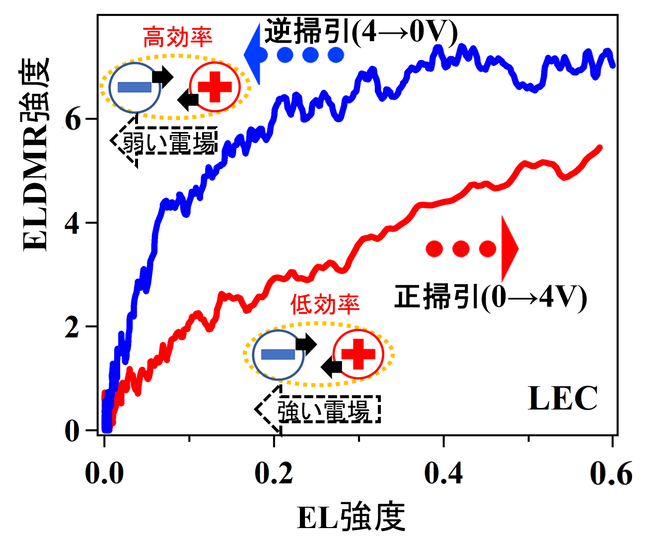 pr20260128_kanemoto01