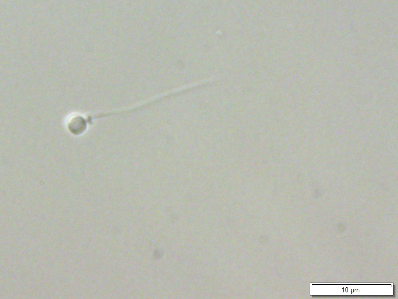 pr20260513_kondo02