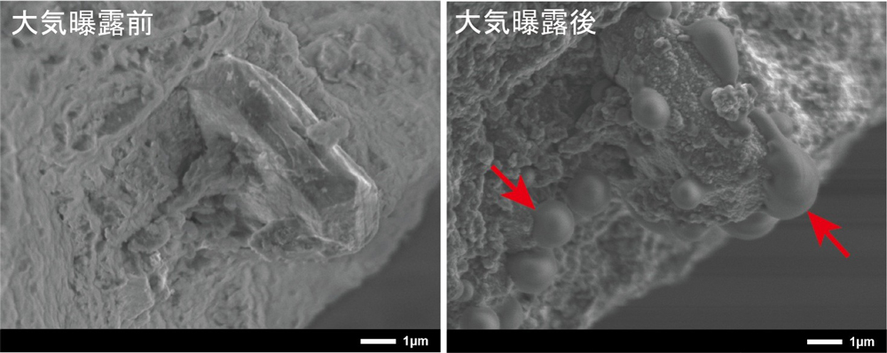 pr20260612_01