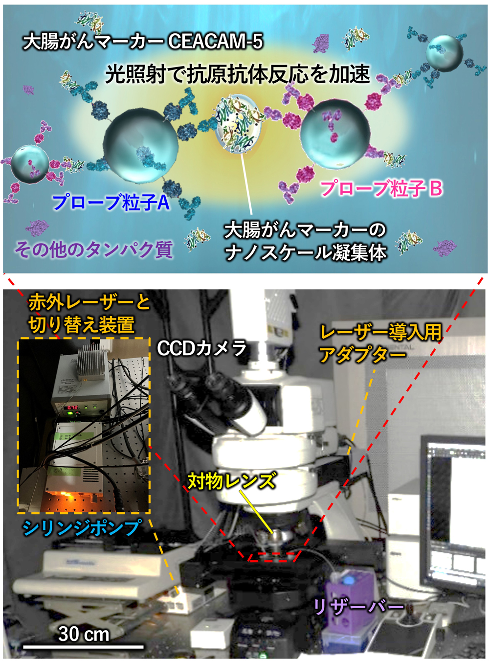 pr202606_lacsys04
