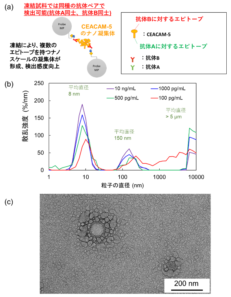 pr202606_lacsys06