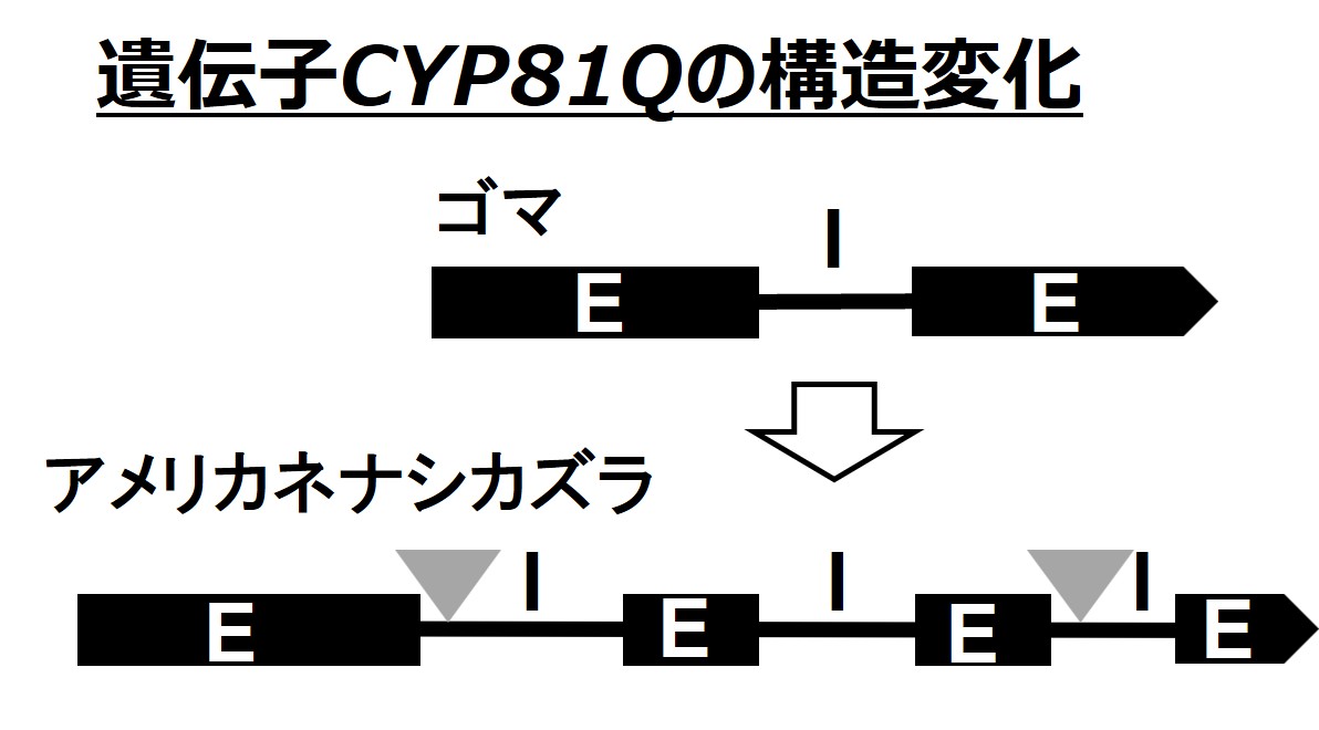 pr20260708_aoki03