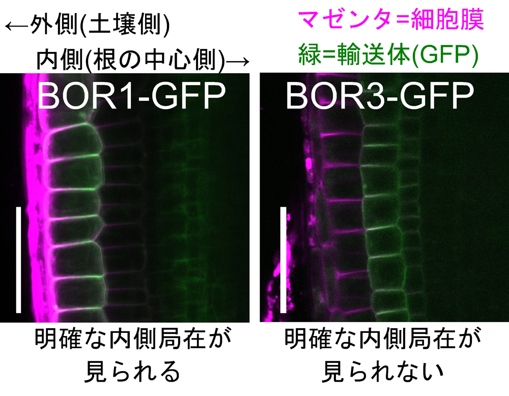 pr20260730_sot03