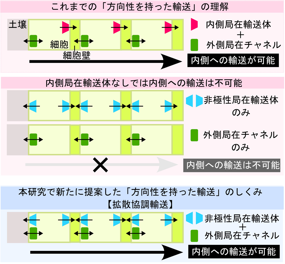 pr20260730_sot04