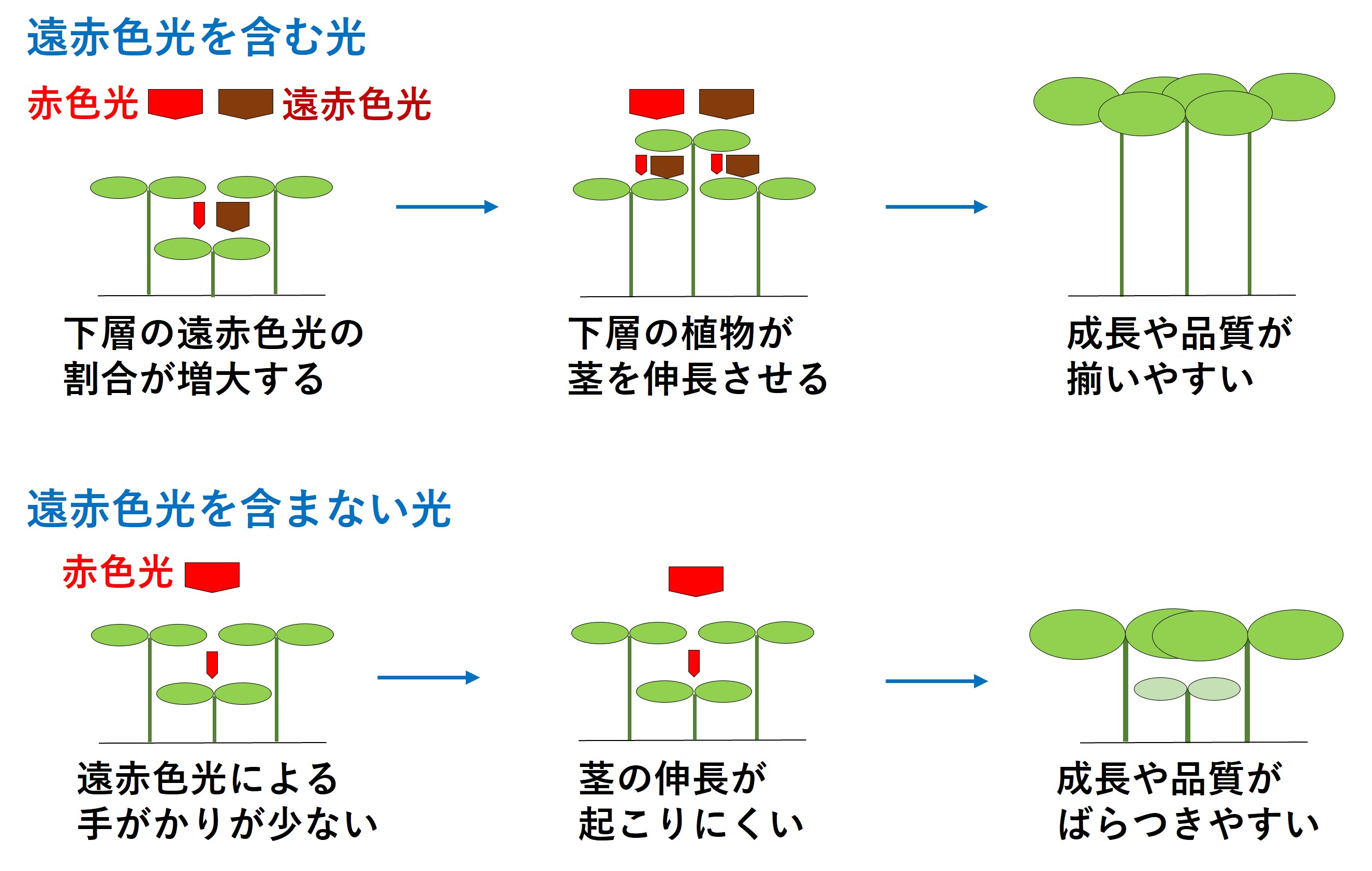 pr202608_shibuya02a