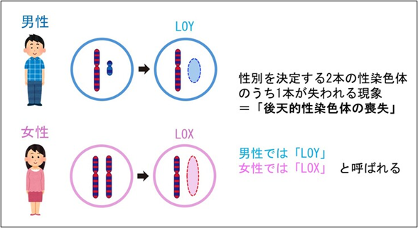 press_0324_kikuchi02