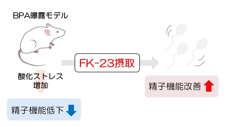 press_0326_minamiyama02