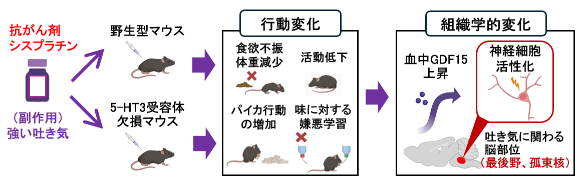 press_0522_kondo