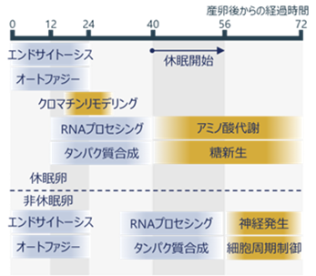 press_0701_goto04