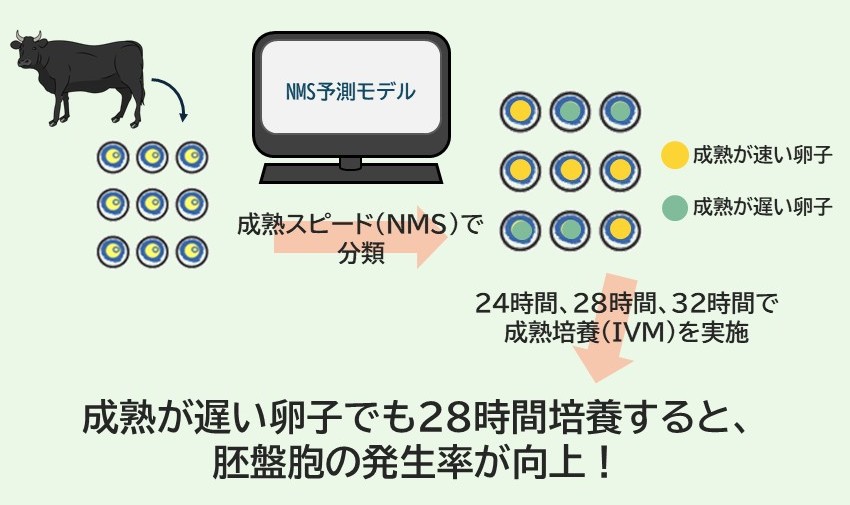 press_1126_koyama_02
