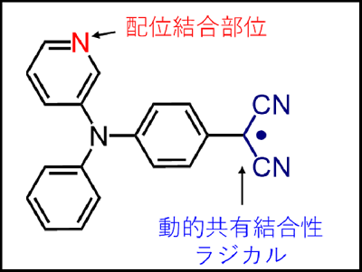 press_0306_fujii01