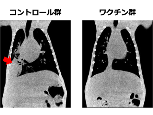 press_0306_fujii01