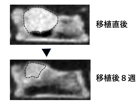 press_sawada_1105_02