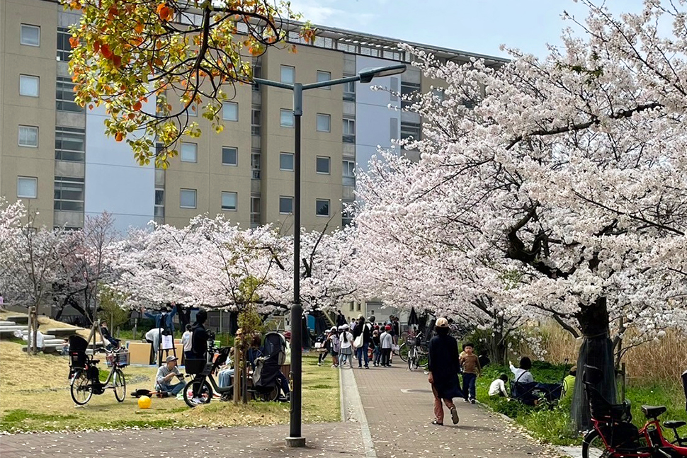 写真：キャンパス風景