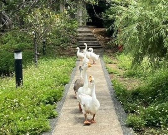 studyabroad-exchange_01