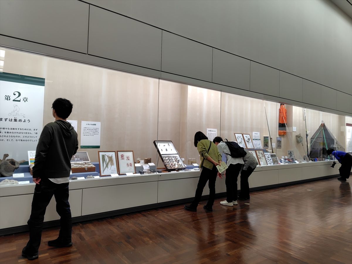 tech-report_260127-1