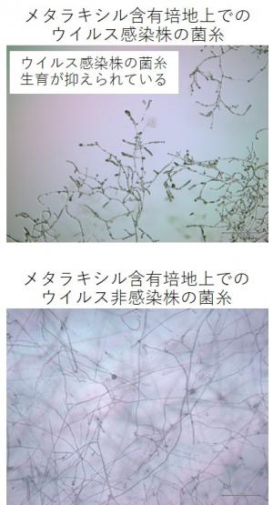 press_0522
