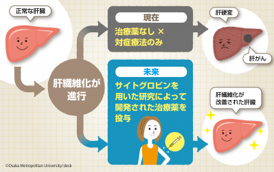 医学部TRENDY Vol.01 肝線維化治療薬の開発を目指して 肝胆膵病態内科学 河田 則文 教授