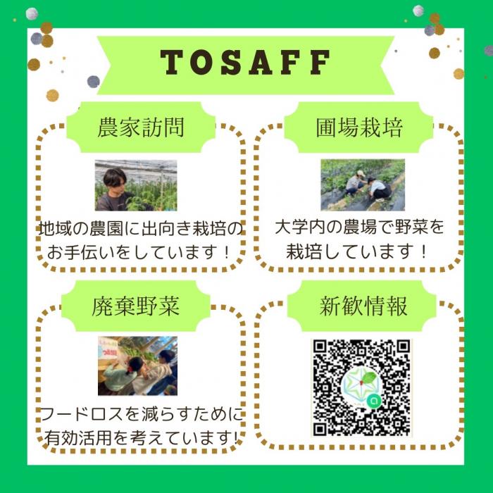 tosaff