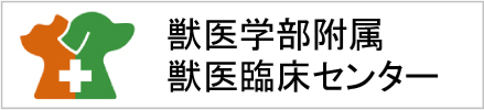 大阪公立大学獣医学部附属獣医臨床センター