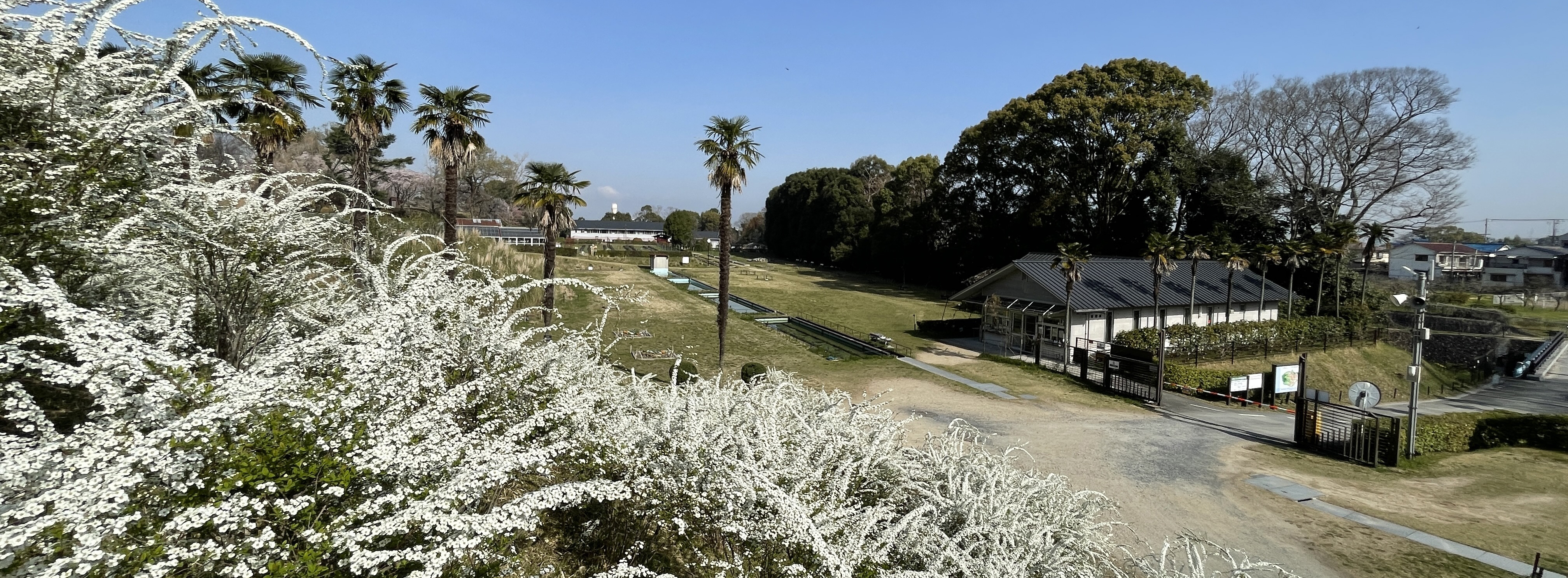 大阪公立大学附属植物園