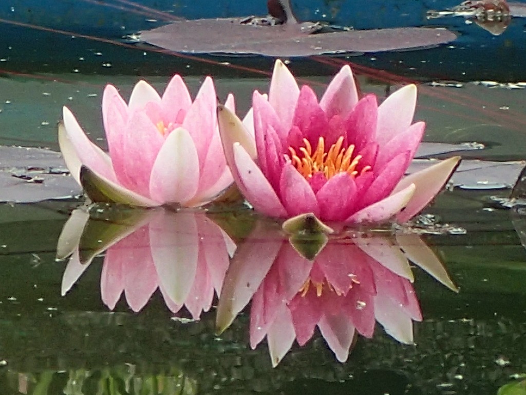 20250430_30