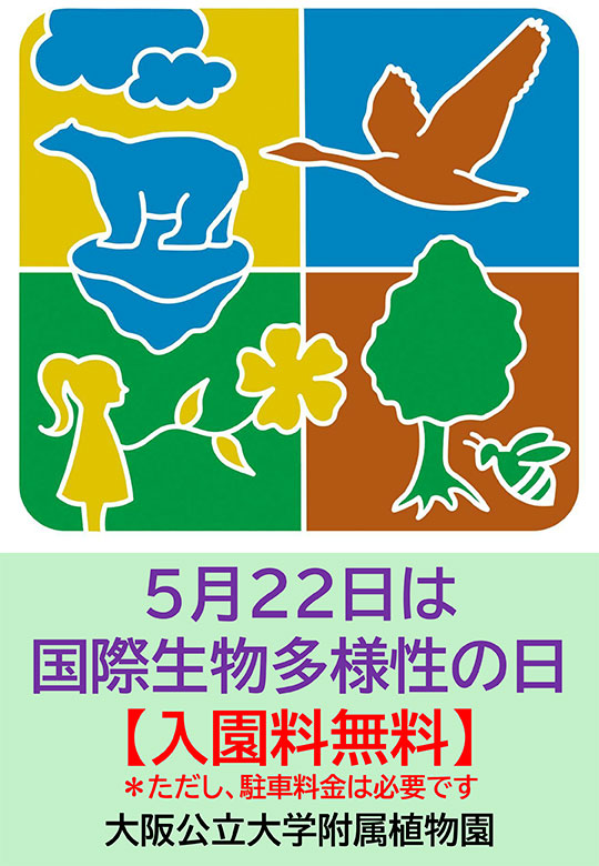 20260522hp_Instagram