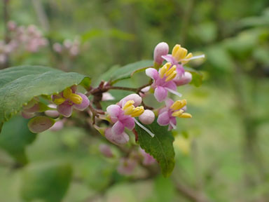 20260603_11