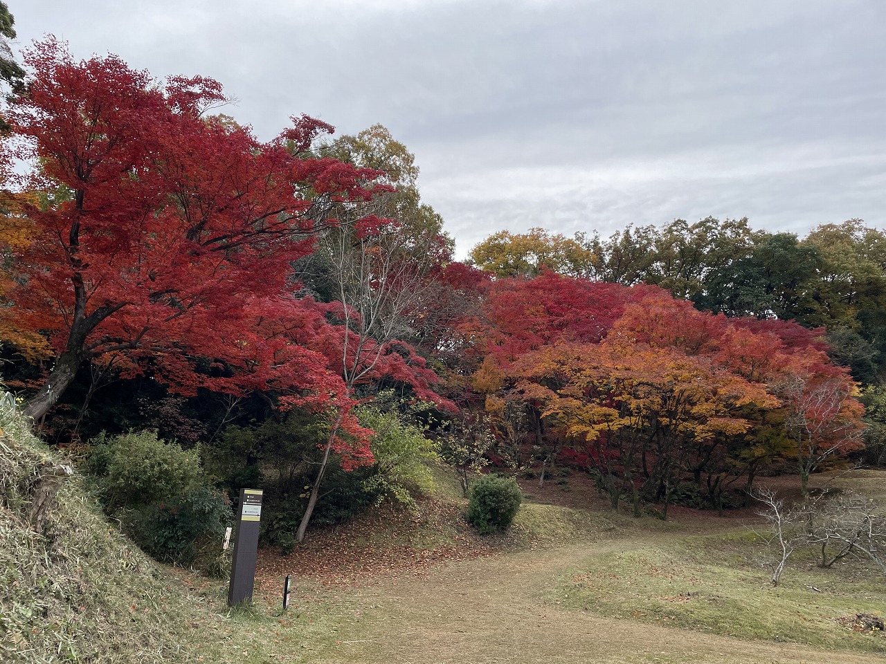 koyo20241205_03