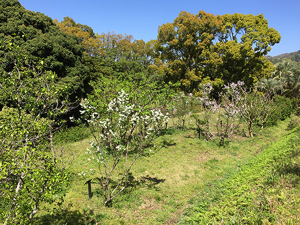 花木園