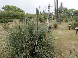 puya20190519-2