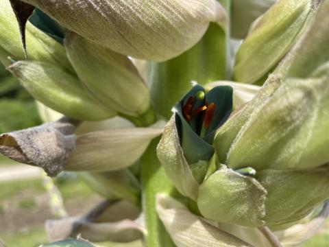 puya20250523_02