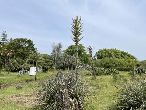 puya20250523_01