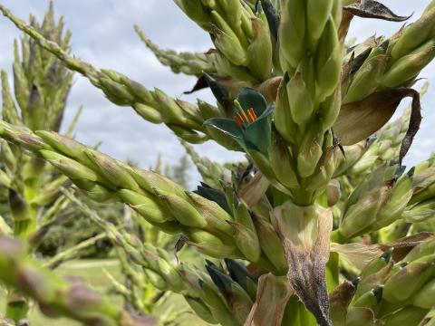 puya20230601_01