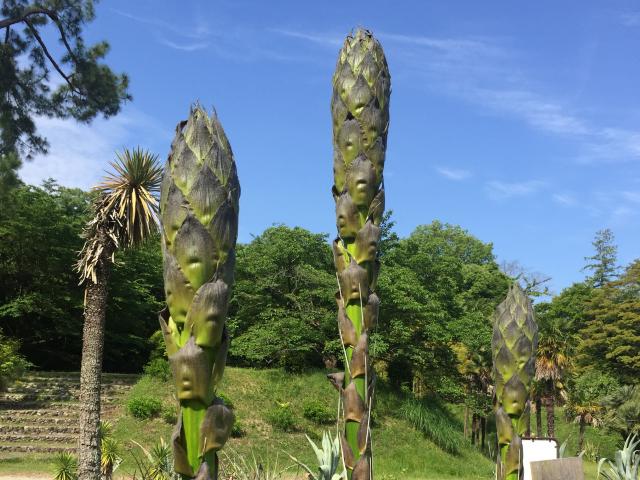 puya20210515-2