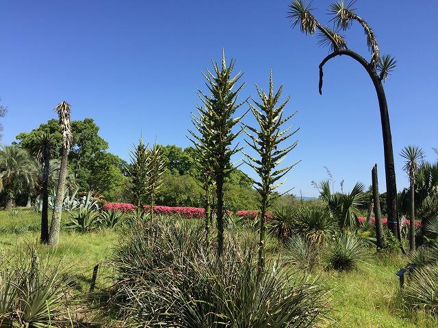 puya20210531-1