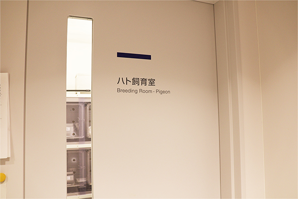 02_MJ_251223teacherinterview