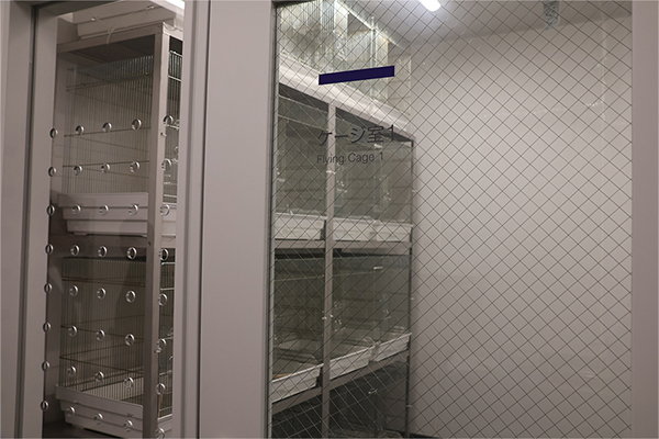 04_MJ_251223teacherinterview