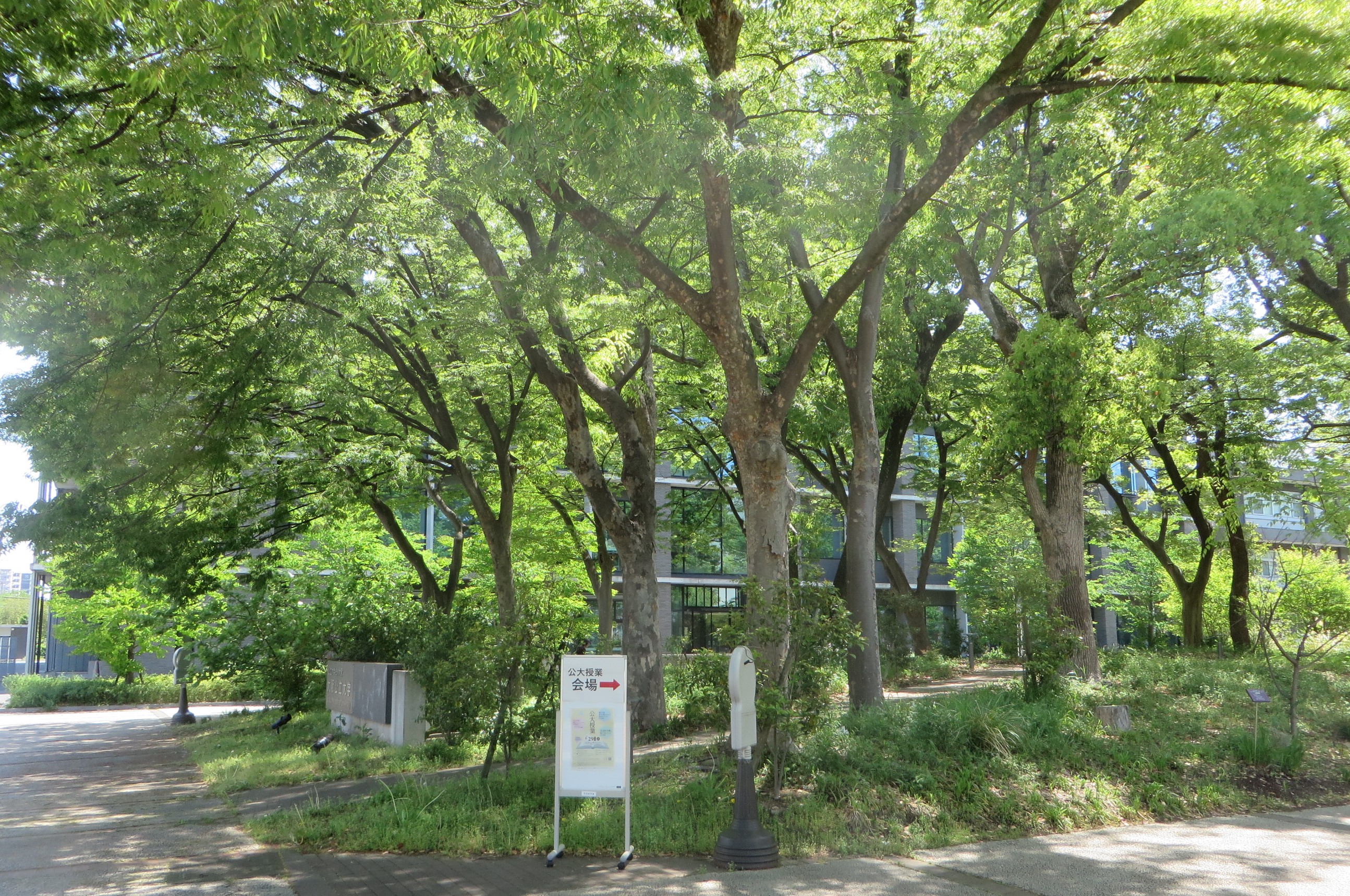 24公大授業新緑_6789