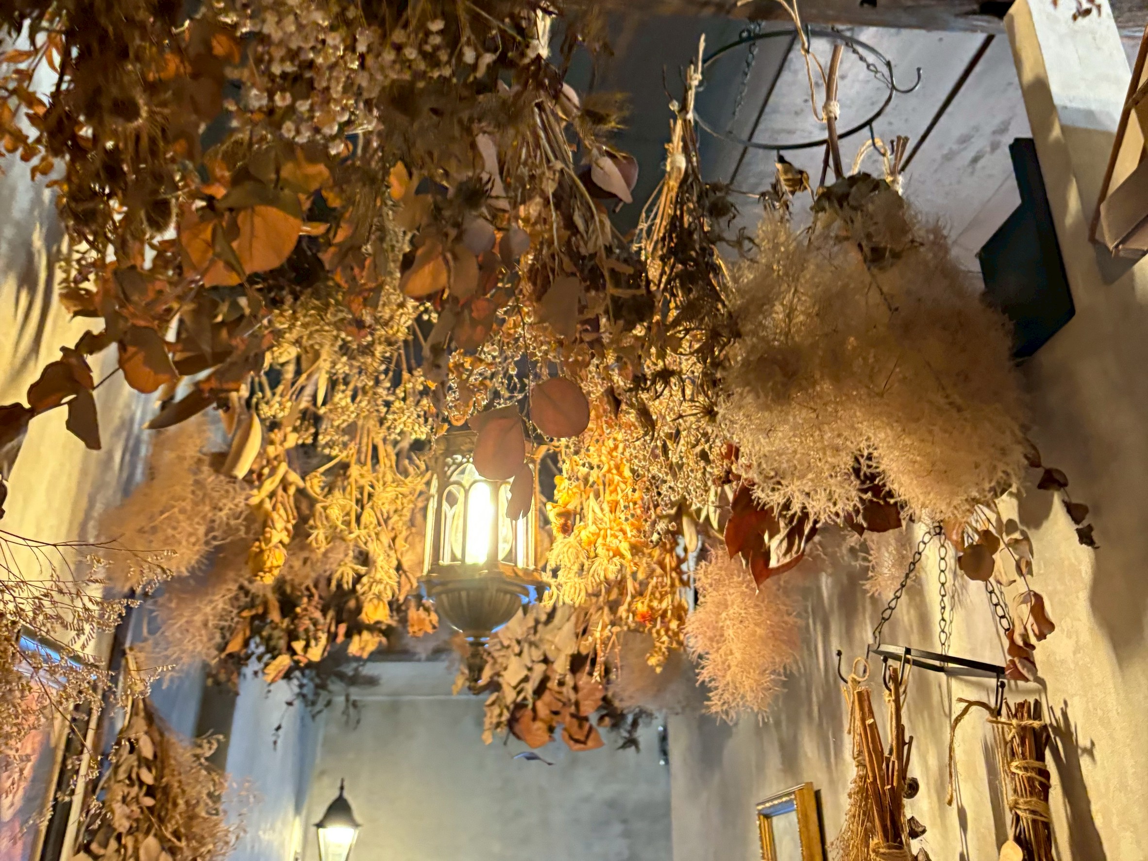 423E14FE-DFF1-4317-80FD-EF5FD95D5547