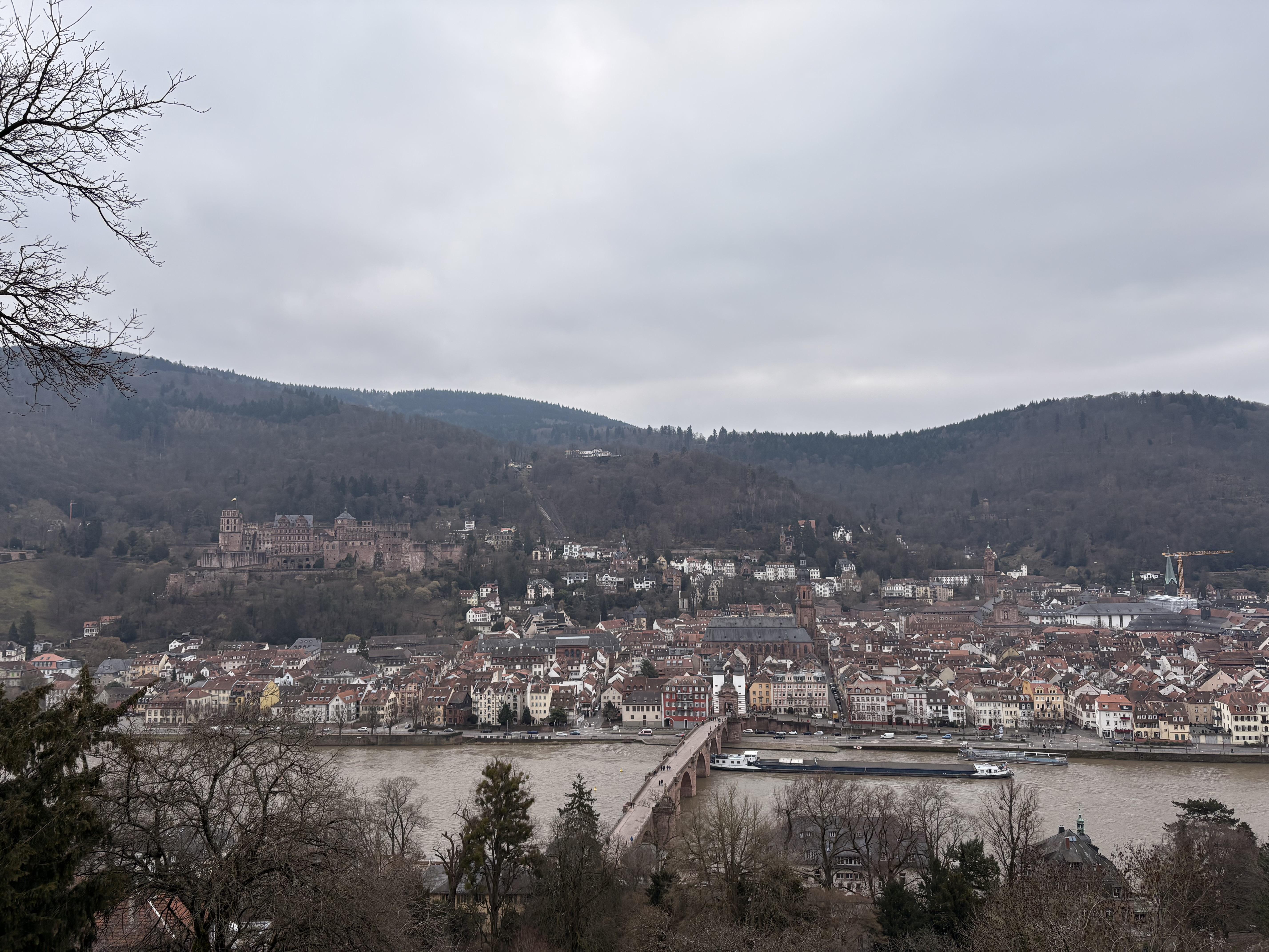 IMG_9480