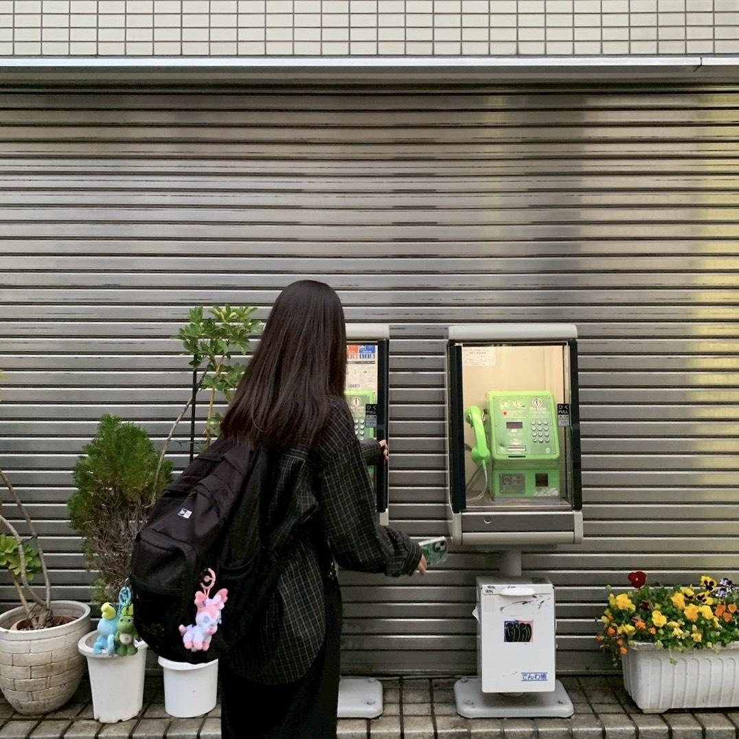 たまみ