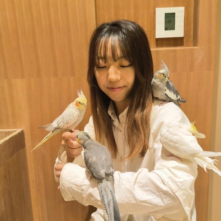 よこまえ