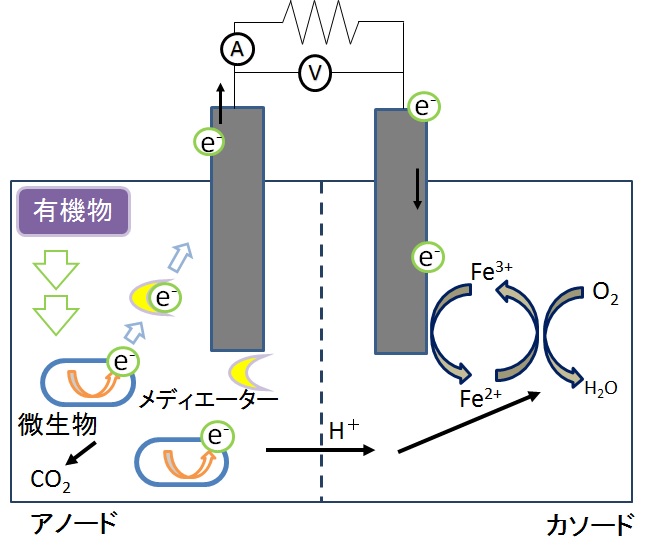 微生物燃料電池の開発