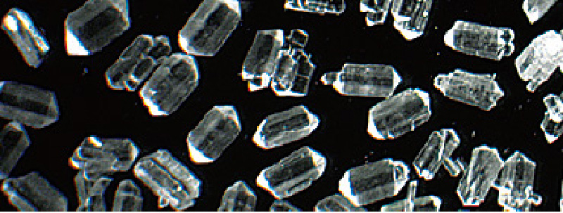 生物化学工学イメージ