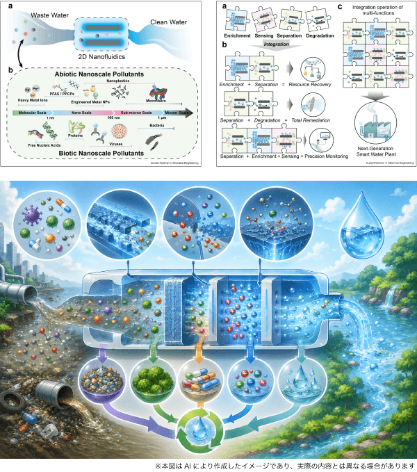 nano_bio_chem_fig08-20260908