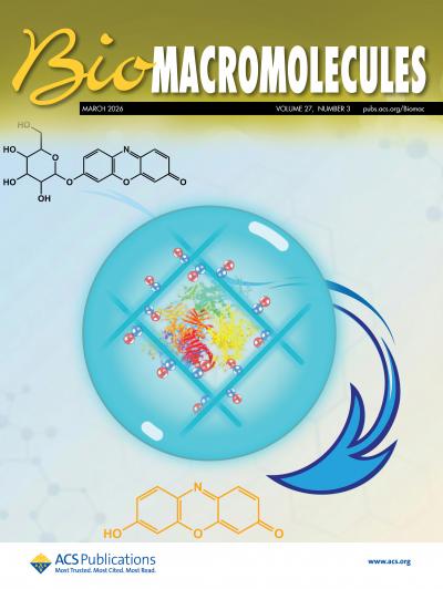 Biomacromolecules 2026, 27, 1857&ndash;1866_Cover