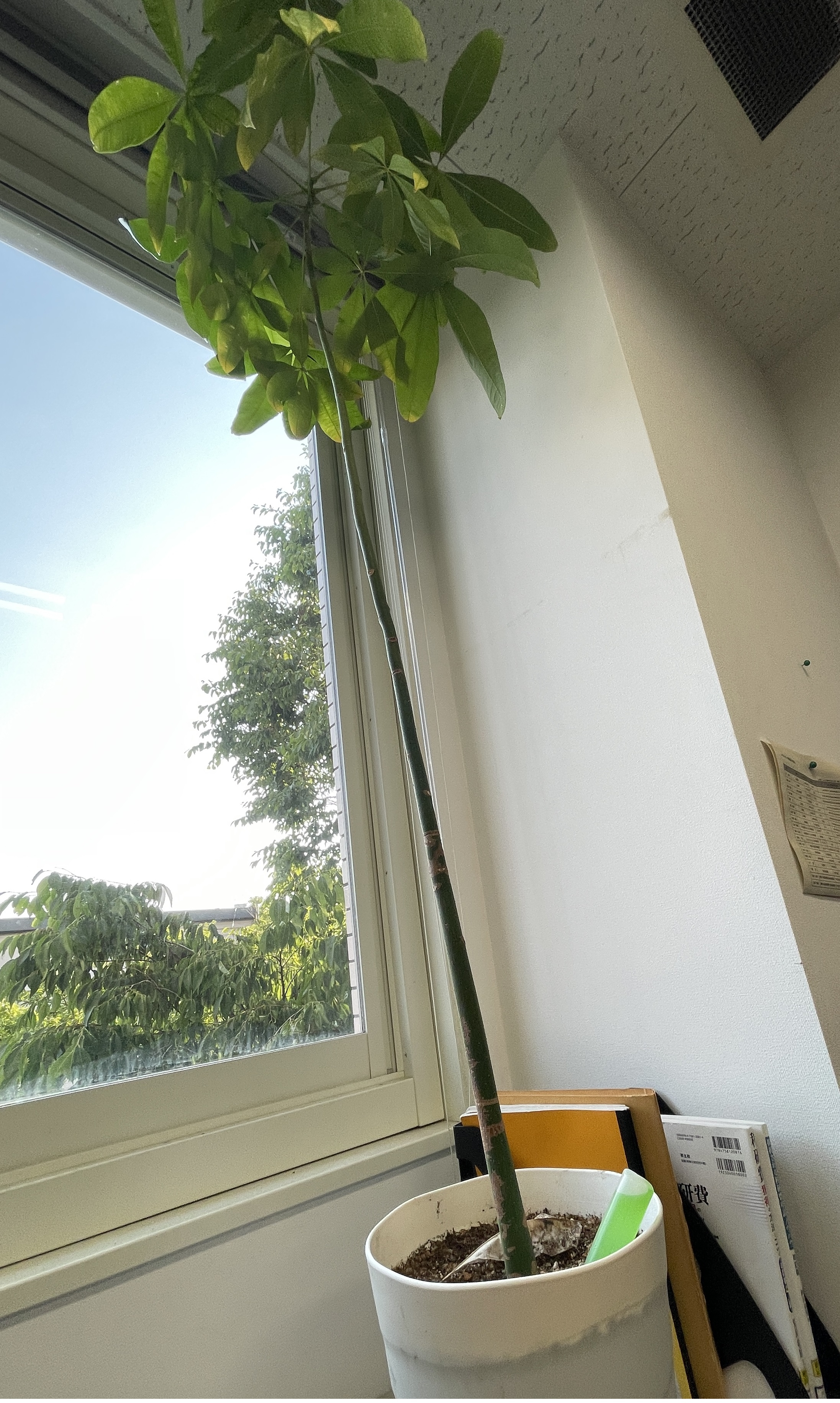 42684431-2CFD-4922-8C0D-3EF9E6FD2BE7