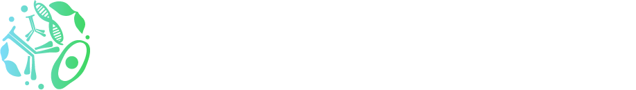 創薬抗体工学グループ